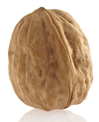 walnut