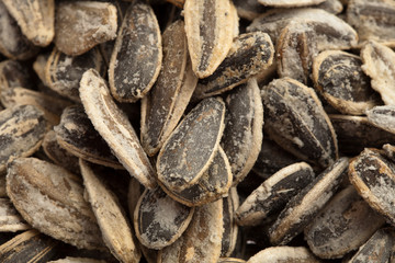 sunflower seeds