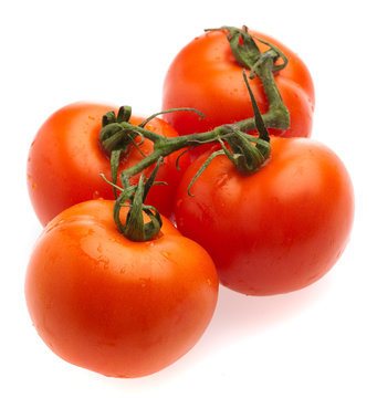 tomato cherry