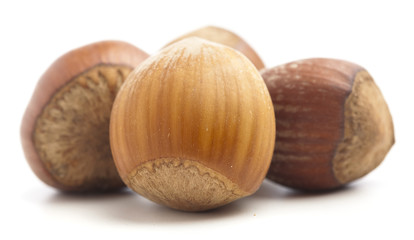 hazelnut isolated