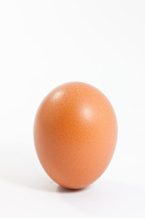 One fresh egg on white background