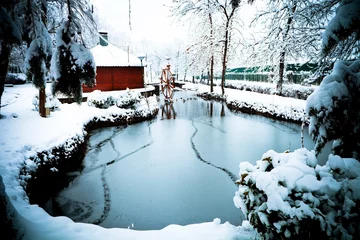 Photo sur Plexiglas Hiver frozen pond