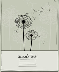 Grusskarte Pusteblume