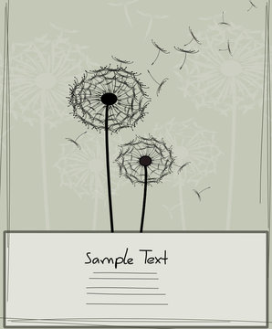 Grusskarte Pusteblume