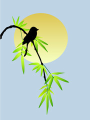 illustration of bamboo, bird and sun