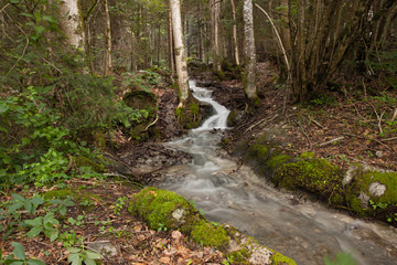 Waterfall in green nature