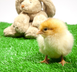 DER BLÖDE OSTERHASE