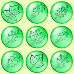 Leaves buttons, set