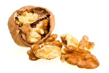 walnut