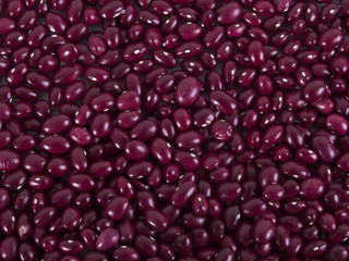 Alubias rojas de Ibeas, Burgos