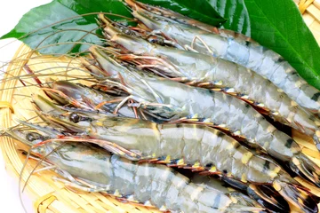 Meubelstickers shrimp © Reika
