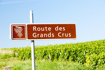 wine route, Burgundy, France