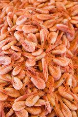 prawns