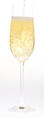 wine glass of champagne