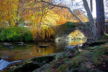 Fototapeta premium Autumn at Ogwen bank