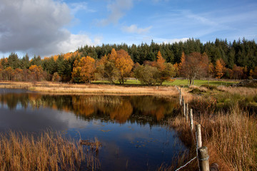 Lyn Ty n-y-mynydd Reservoir