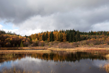 Lyn Ty n-y-mynydd Reservoir