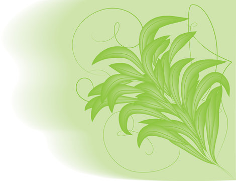 Vector background green foliage