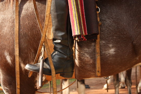 Bota