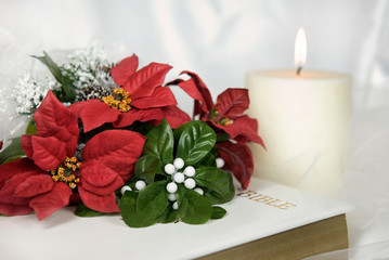 Poinsettia Bouquet