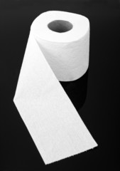 Toilet paper roll