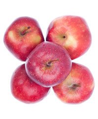 Apples