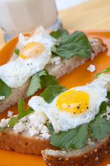 Open-Faced Sandwich with Fried Egg