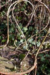 chaise de jardin abandonnée