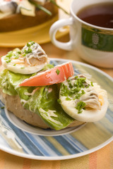 Sandwich with salad, fish, egg and tomato