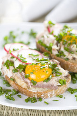 Tasty sandwich with meal, egg and radish