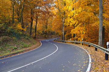 Stra&szlig;e durch herbstlichen Wald
