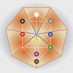 Symbole Arbre de Vie avec Heptagone - Multicolore