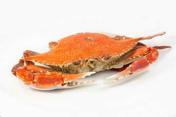 Crab