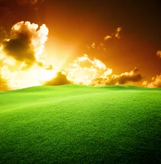 Keuken spatwand met foto green field and blue sky © Iakov Kalinin