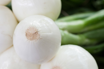 Sweet White Onion