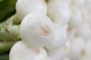 Obraz na płótnie Canvas Sweet White Onion with shallow depth of field