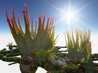 Afwasbaar Fotobehang Draken Buitenaardse planten Pikaka