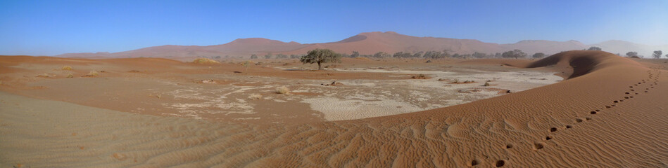 Dunes de Sossusvlei