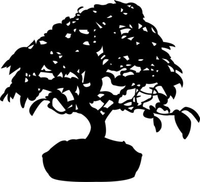 bonsai silhouette - vector