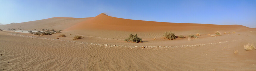 Dunes de Sossusvlei