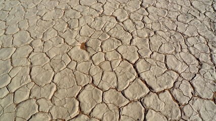Terre craquelée