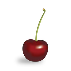 Red cherry - vector illustration