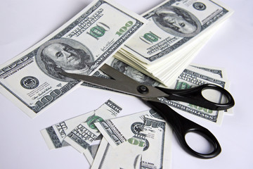 Scissors and dollars - «budget reduction»