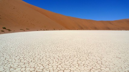 Dead vlei