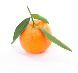 Mandarin