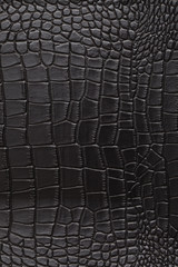 skin coccodrillo