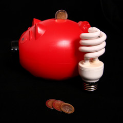 Fototapeta na wymiar CFL bulb savings