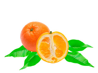 orange isolated on white background