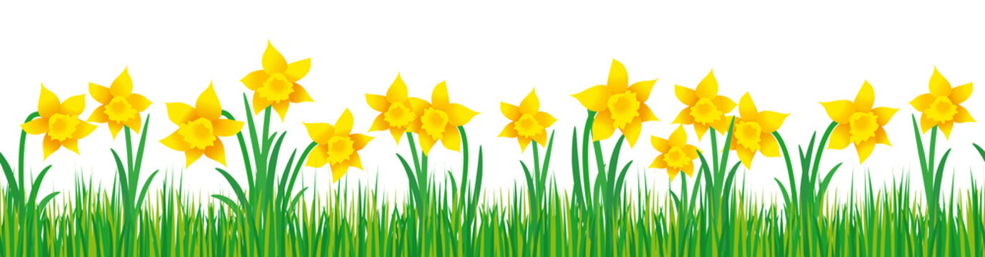 Osterglocken, Wiese, Muster, endlos, nahtlos, Ostern