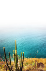 St Lucia (Carribean) - Pigeon Island Landmark